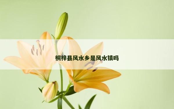 桐梓縣風水鄉是風水鎮嗎