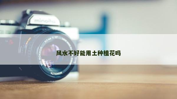 風水不好能用土種植花嗎