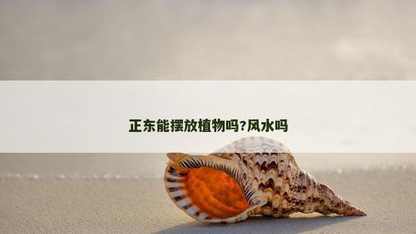 正東能擺放植物嗎?風(fēng)水嗎