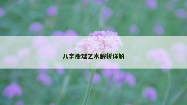 八字命理乙木解析詳解