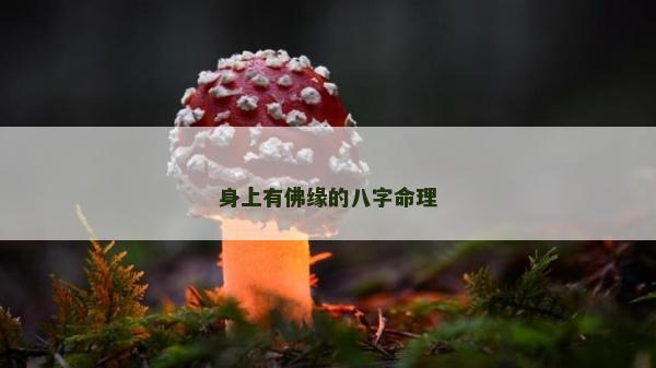身上有佛緣的八字命理