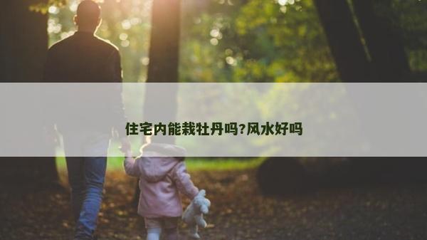 住宅內能栽牡丹嗎?風水好嗎 住宅內能栽牡丹嗎?風水好嗎