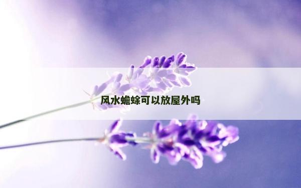 風水蟾蜍可以放屋外嗎