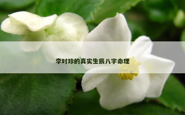 李時珍的真實生辰八字命理