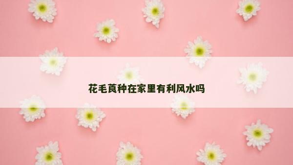 花毛莨種在家里有利風水嗎