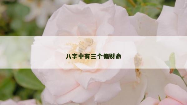 八字中有三個偏財命