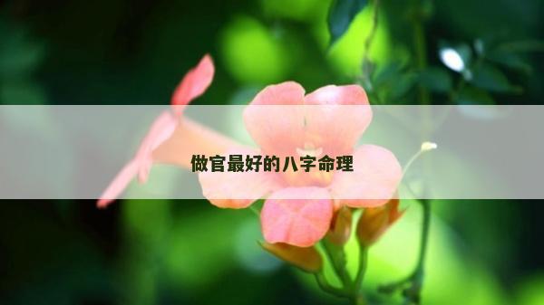 做官最好的八字命理 做官最好的八字命理