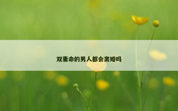 雙妻命的男人都會離婚嗎