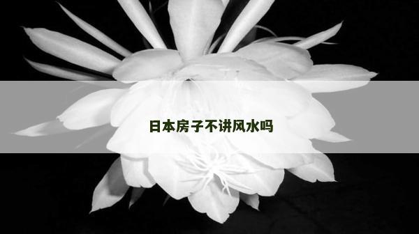 日本房子不講風水嗎