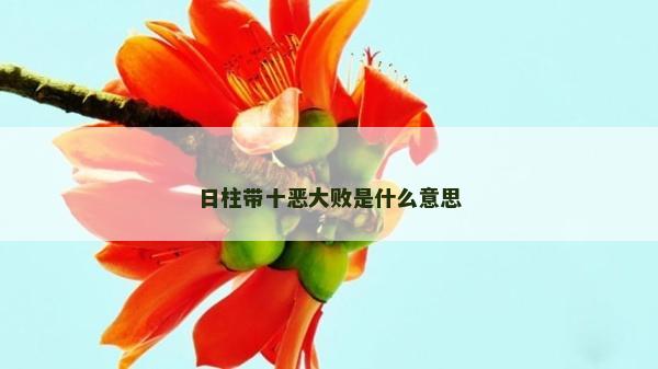 日柱帶十惡大敗是什么意思