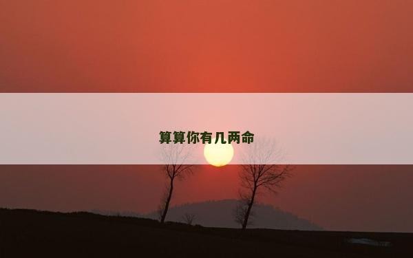 算算你有幾兩命 算算你有幾兩命