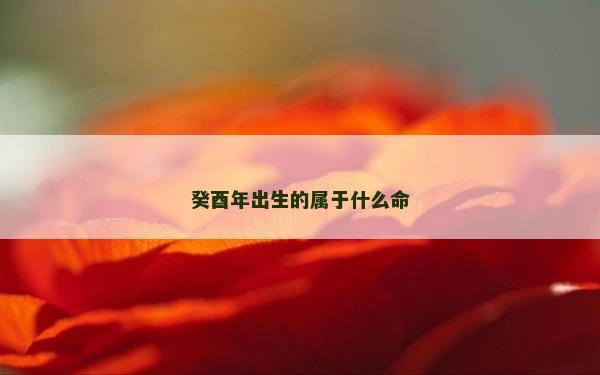 癸酉年出生的屬于什么命
