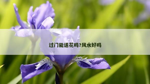 過門能送花嗎?風水好嗎 過門能送花嗎?風水好嗎