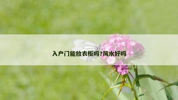 入戶門能放衣柜嗎?風水好嗎