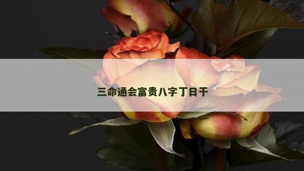 三命通會富貴八字丁日干
