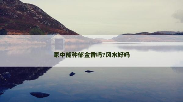 家中能種郁金香嗎?風水好嗎