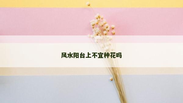 風水陽臺上不宜種花嗎