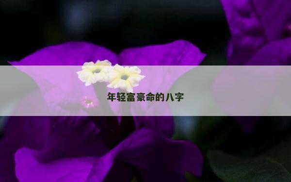 年輕富豪命的八字