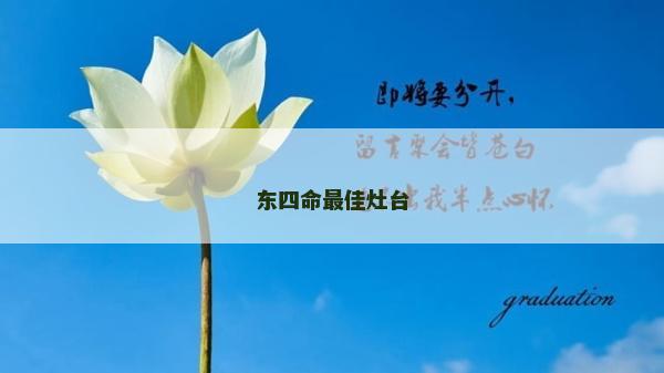 東四命最佳灶臺