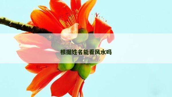 根據(jù)姓名能看風(fēng)水嗎