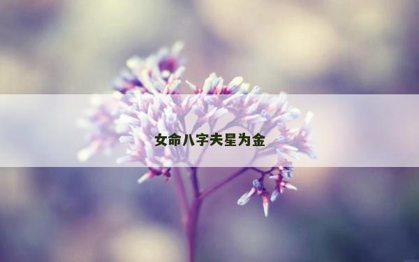 女命八字夫星為金