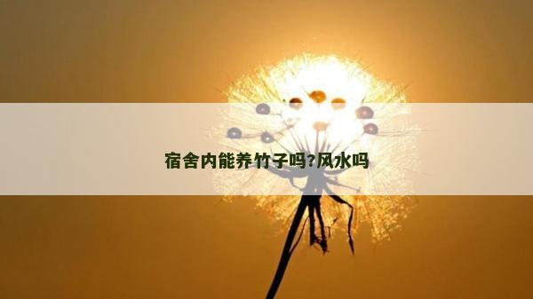 宿舍內(nèi)能養(yǎng)竹子嗎?風(fēng)水嗎 宿舍內(nèi)能養(yǎng)竹子嗎?風(fēng)水嗎