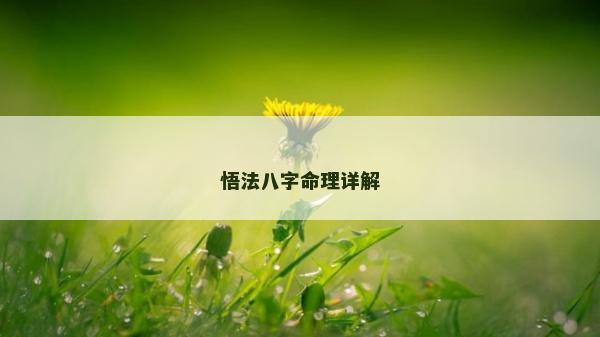 悟法八字命理詳解