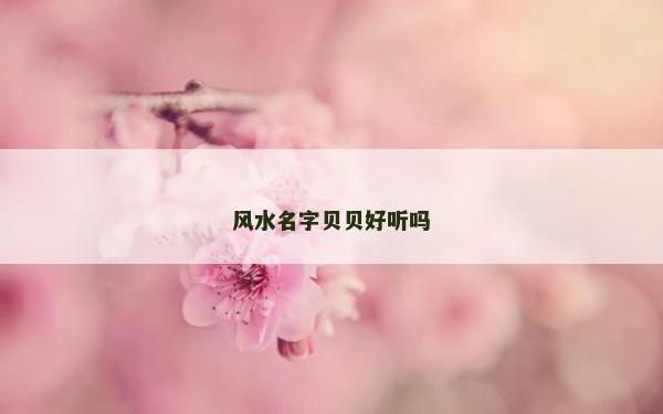 風水名字貝貝好聽嗎