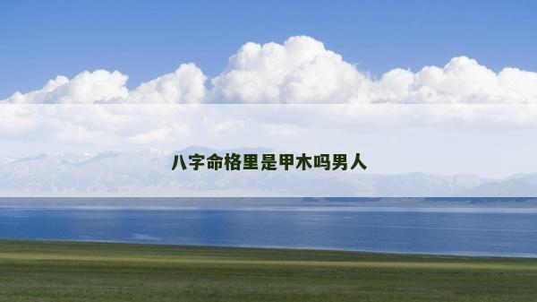 八字命格里是甲木嗎男人