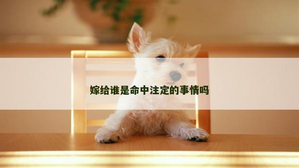 嫁給誰是命中注定的事情嗎