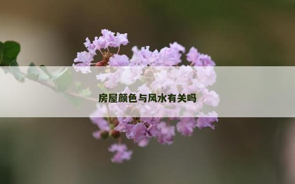 房屋顏色與風水有關嗎