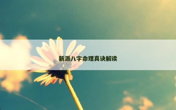 新派八字命理真訣解讀