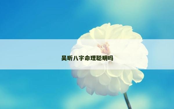 吳昕八字命理聰明嗎