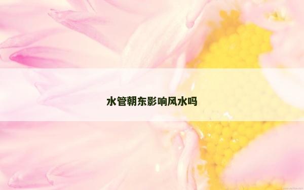水管朝東影響風水嗎