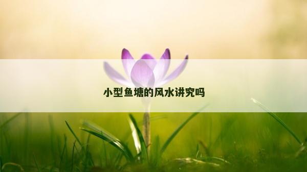 小型魚塘的風水講究嗎 小型魚塘的風水講究嗎