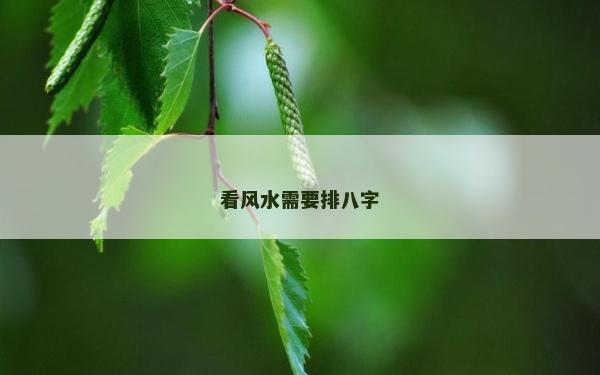 看風水需要排八字