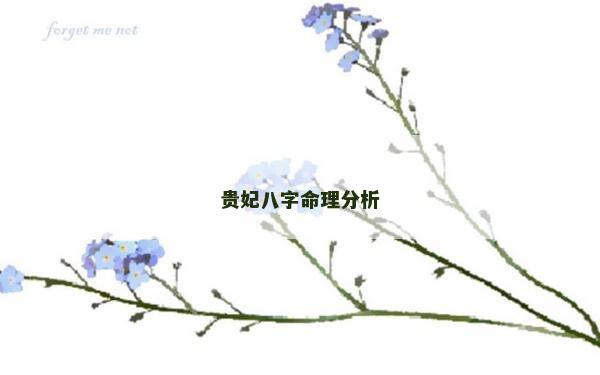 貴妃八字命理分析