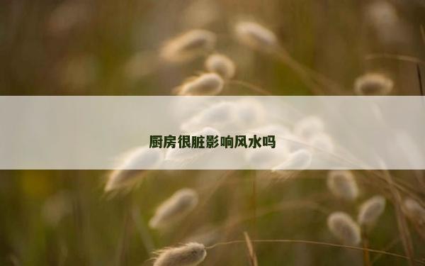 廚房很臟影響風水嗎