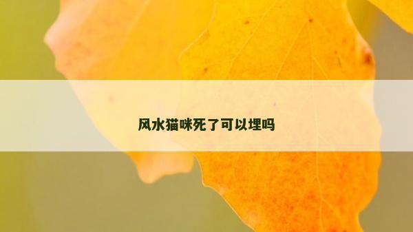 風水貓咪死了可以埋嗎 風水貓咪死了可以埋嗎