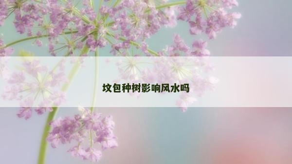 墳包種樹影響風水嗎
