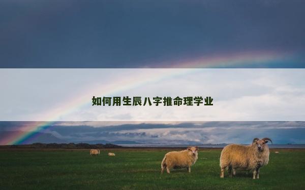 如何用生辰八字推命理學業