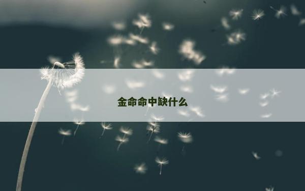 金命命中缺什么 金命命中缺什么