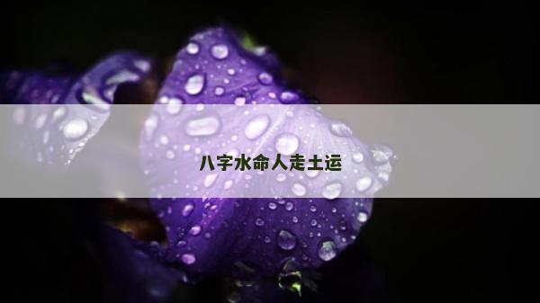 八字水命人走土運(yùn)