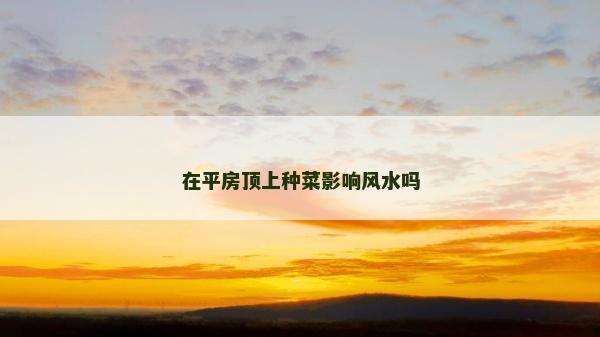 在平房頂上種菜影響風水嗎