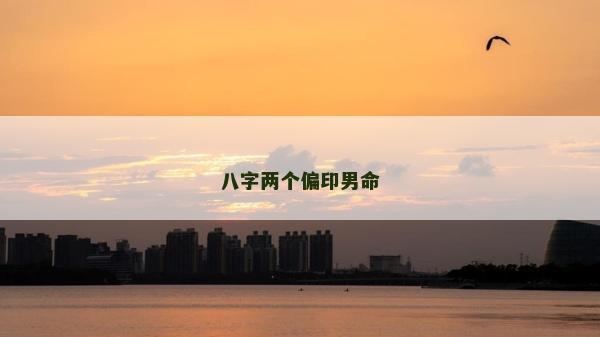八字兩個偏印男命