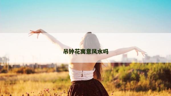 吊鐘花寓意風水嗎