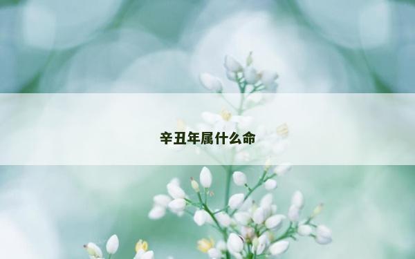 辛丑年屬什么命
