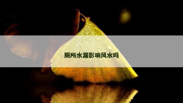 廁所水漏影響風(fēng)水嗎