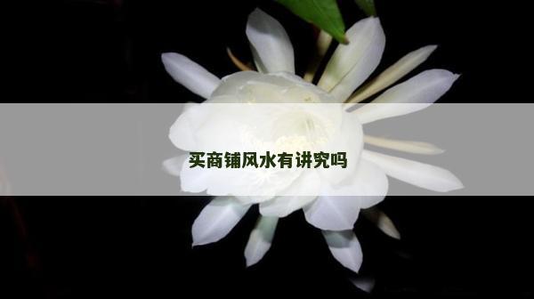買商鋪風(fēng)水有講究嗎