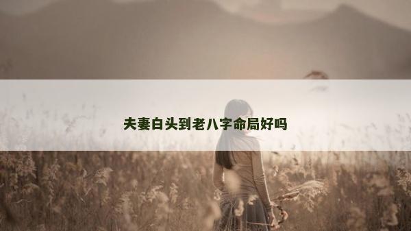 夫妻白頭到老八字命局好嗎
